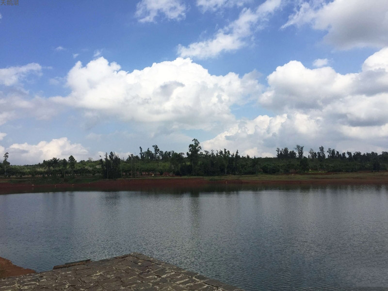 天鹅湖实景图